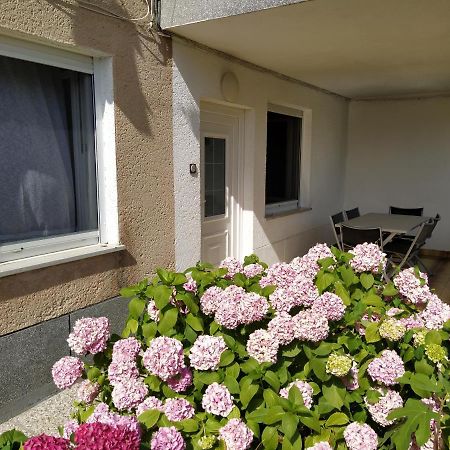 Apartments Buket Jagodje Exterior photo