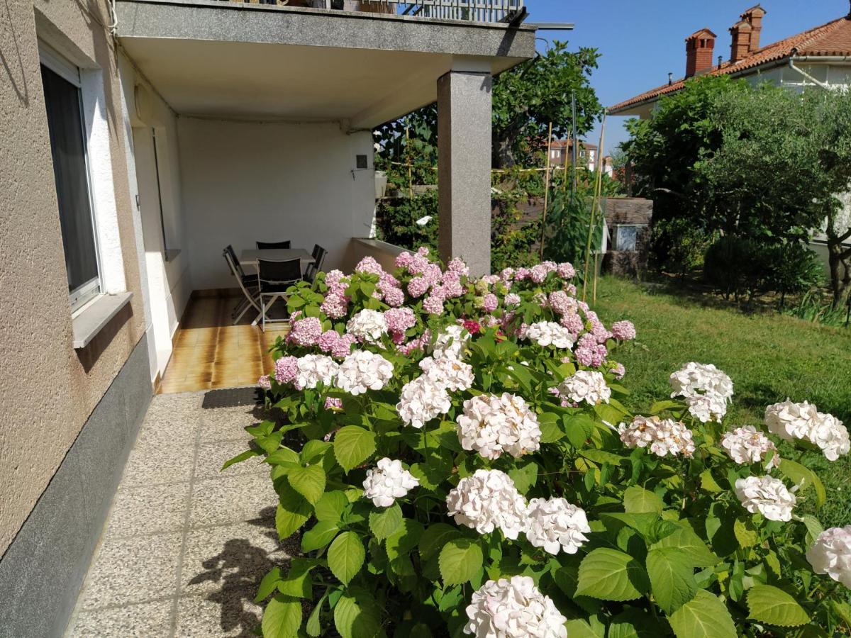 Apartments Buket Jagodje Exterior photo